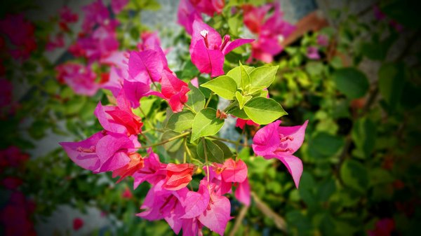 Top innovations in quality cornillon joinery in andrézieux-bouthéon